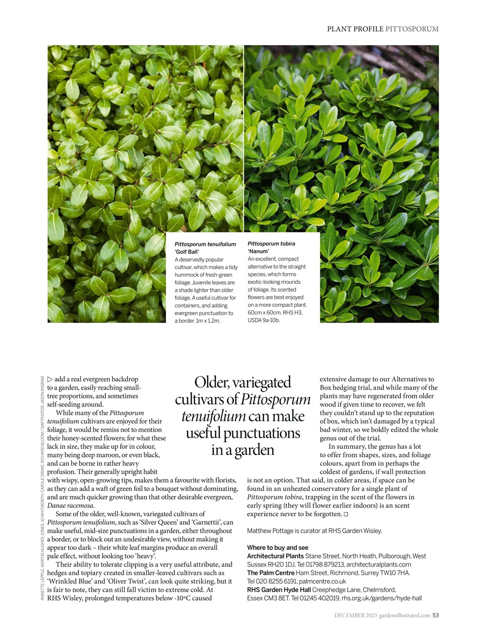 Gardens Illustrated Preview Pages