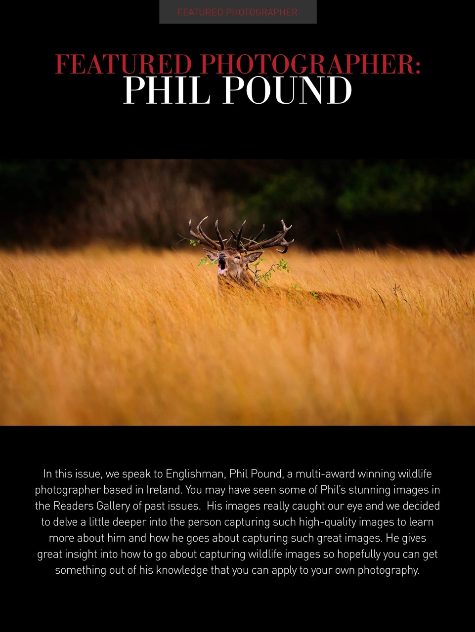 Photography Masterclass Magazine Preview Pages