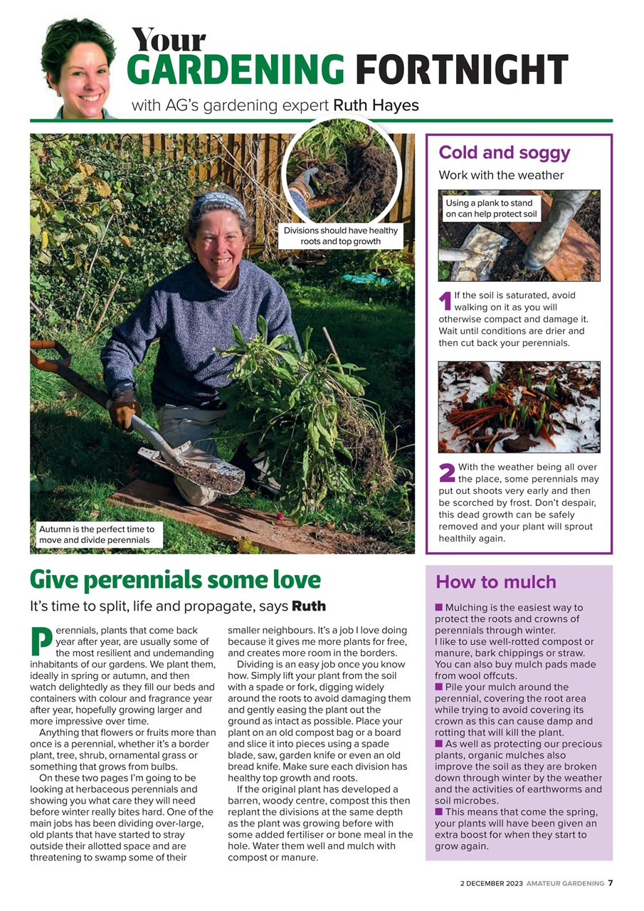 Amateur Gardening Preview Pages