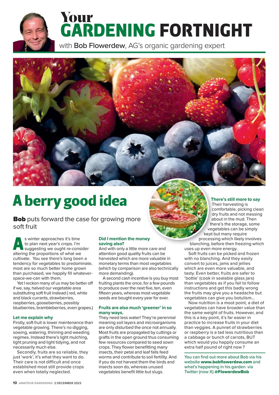 Amateur Gardening Preview Pages