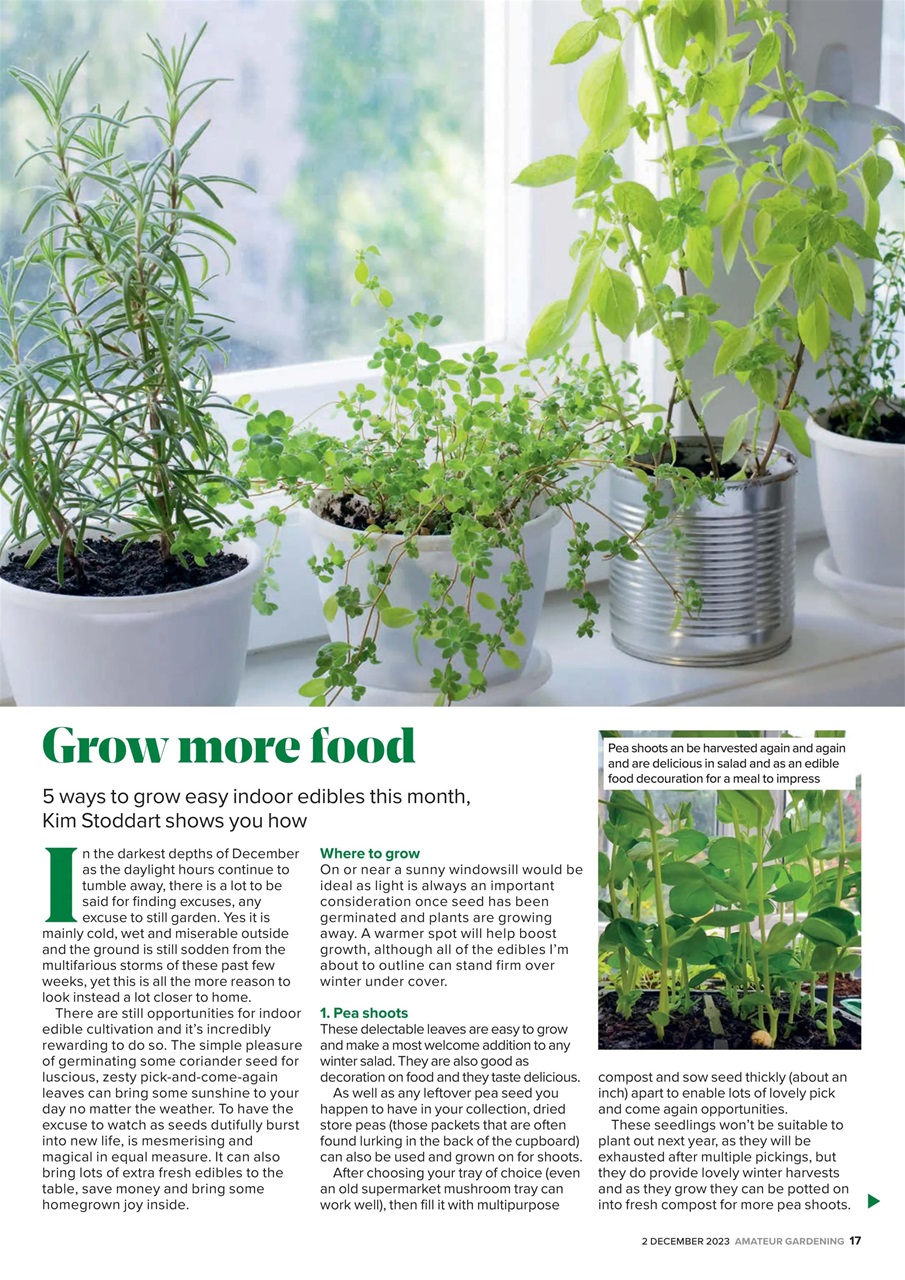 Amateur Gardening Preview Pages