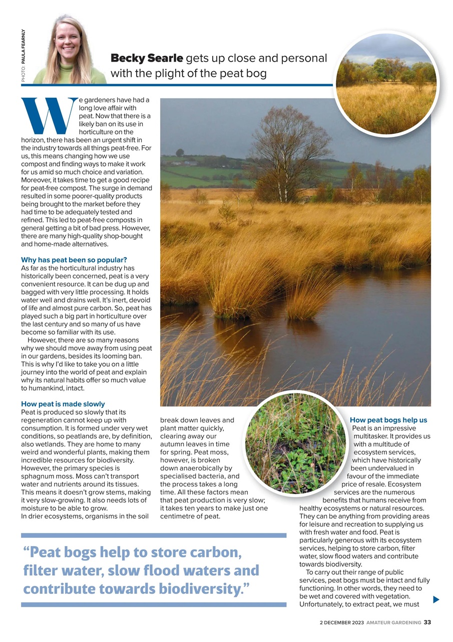 Amateur Gardening Preview Pages