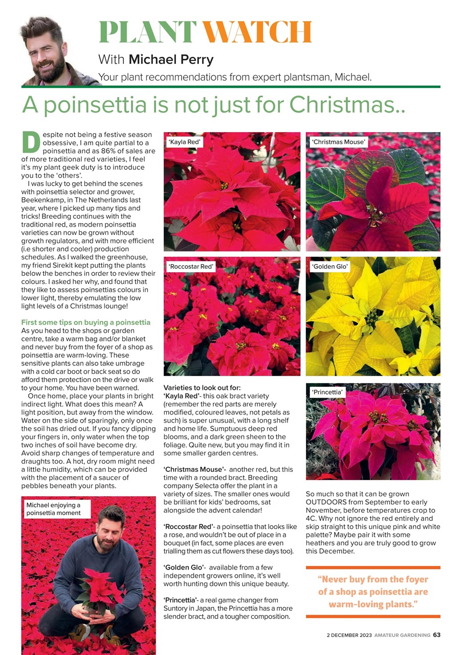 Amateur Gardening Preview Pages