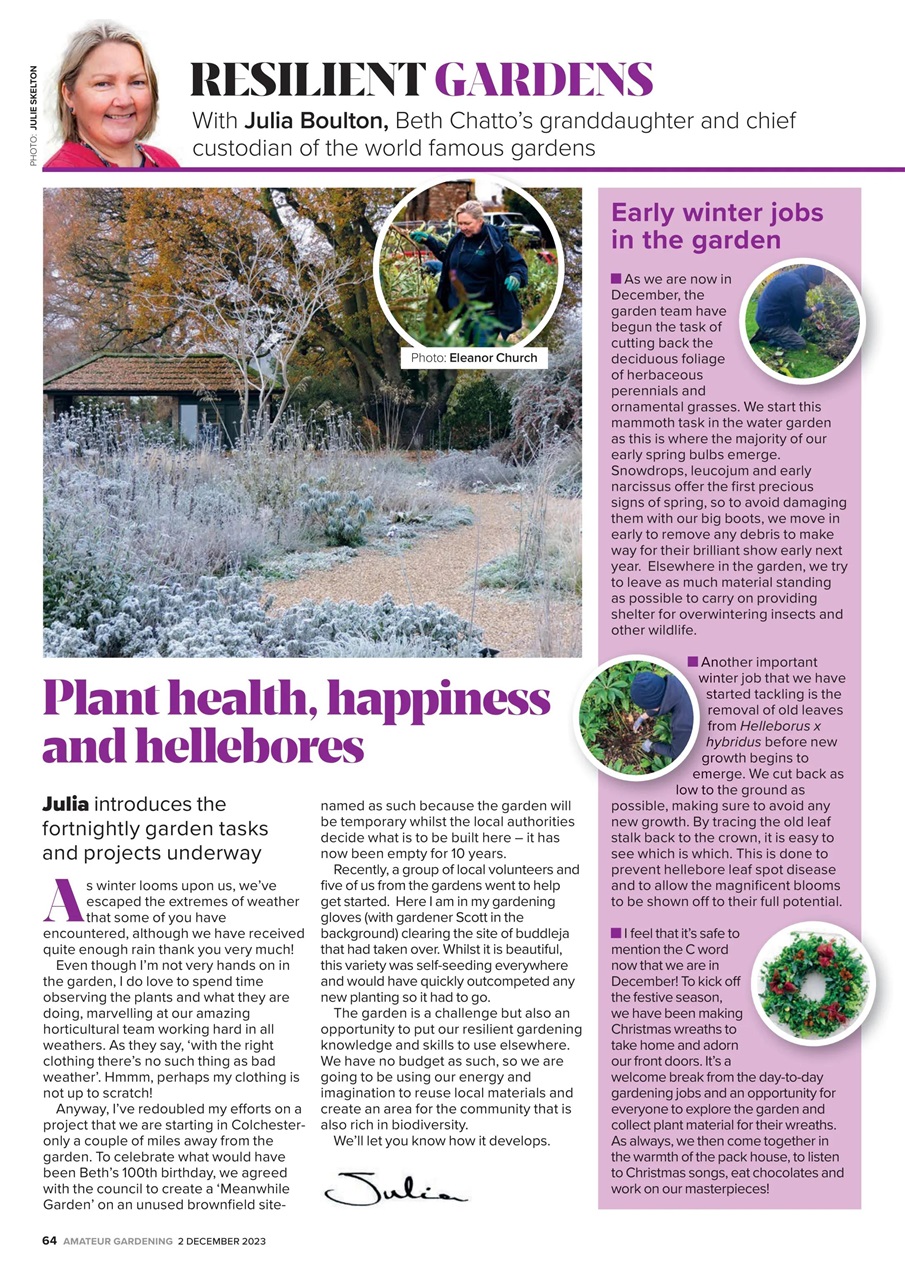 Amateur Gardening Preview Pages