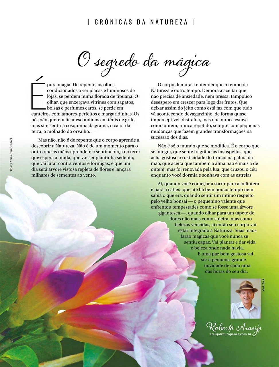 Natureza Preview Pages