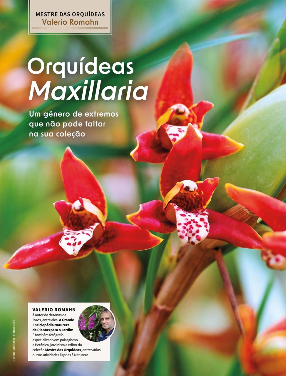 Natureza Preview Pages