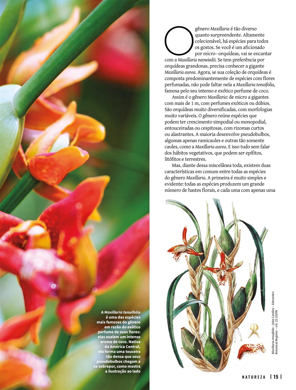 Natureza Preview Pages