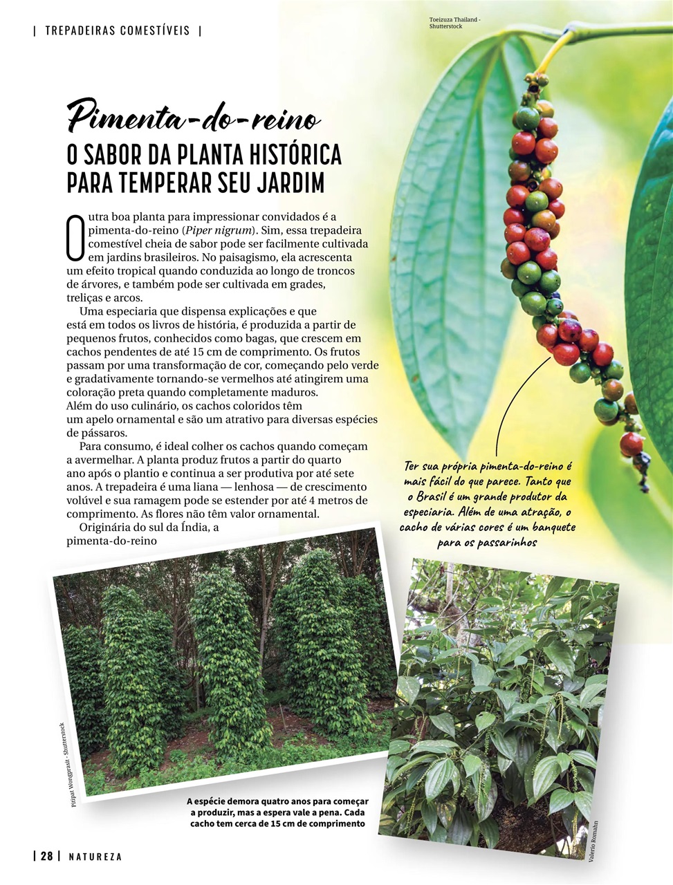 Natureza Preview Pages