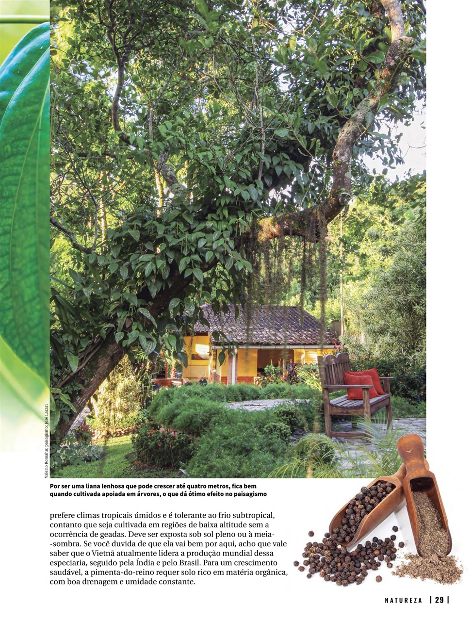 Natureza Preview Pages