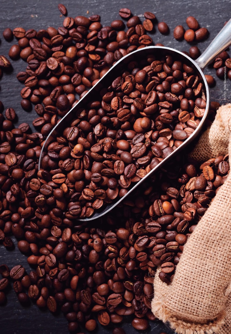 Vegetarianos Preview Pages