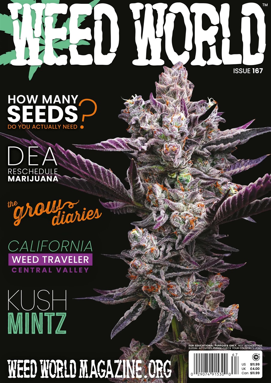 Weed World Preview Pages