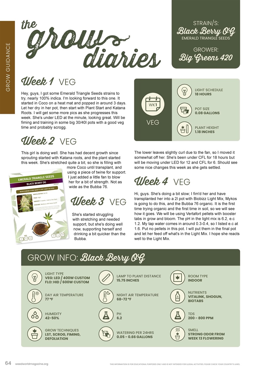 Weed World Preview Pages