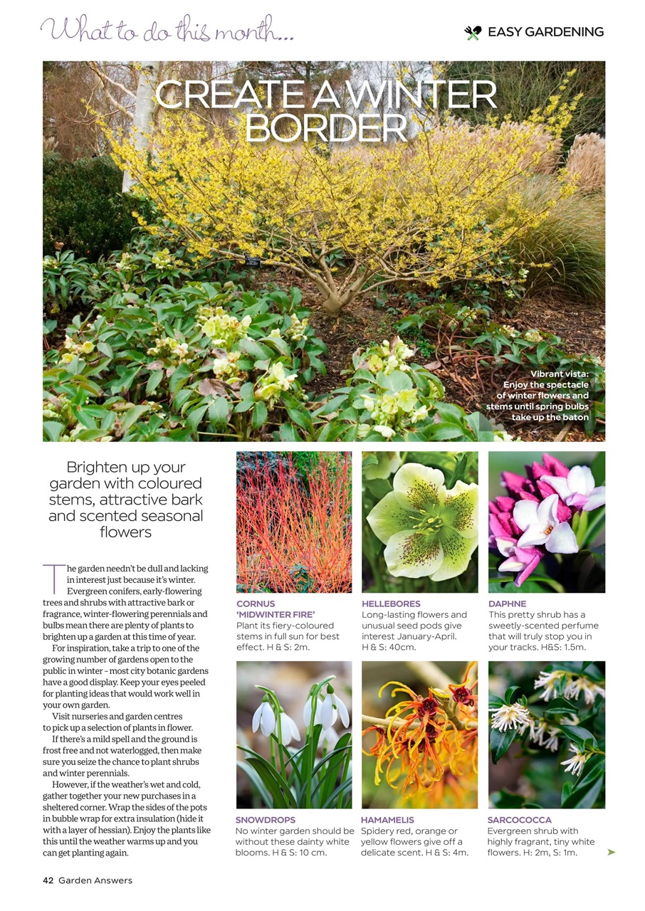 Garden Answers Preview Pages