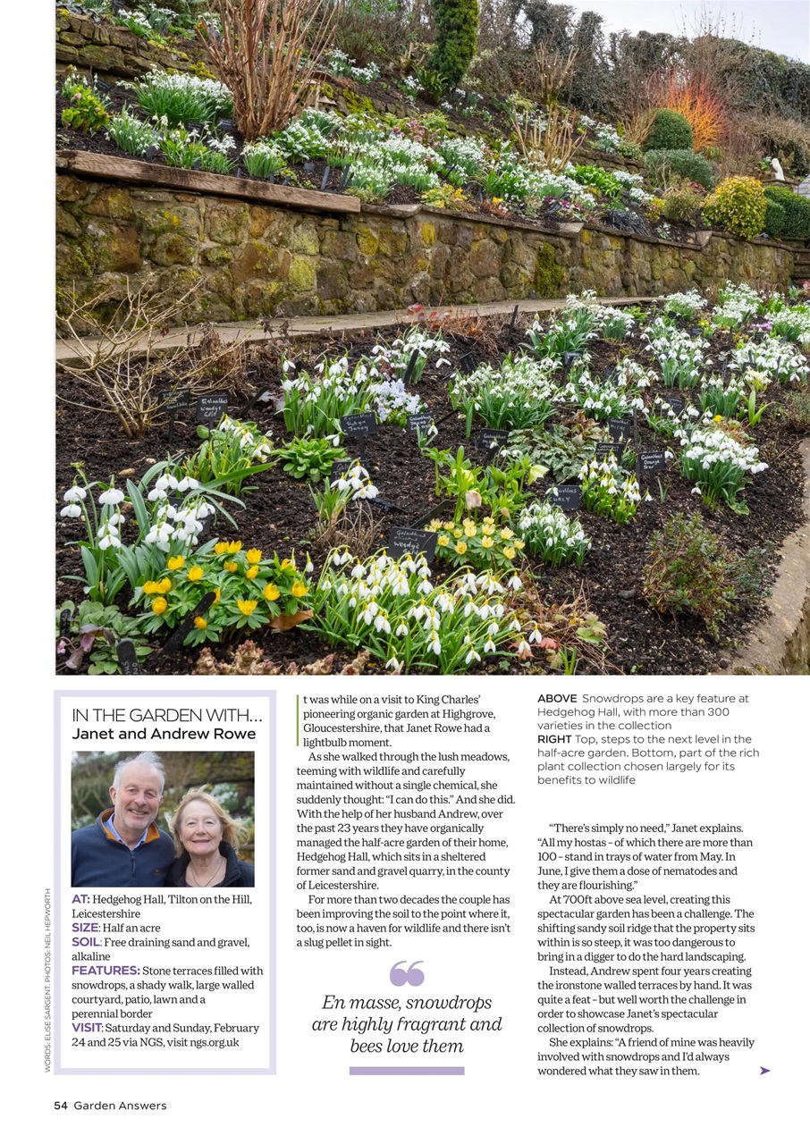 Garden Answers Preview Pages