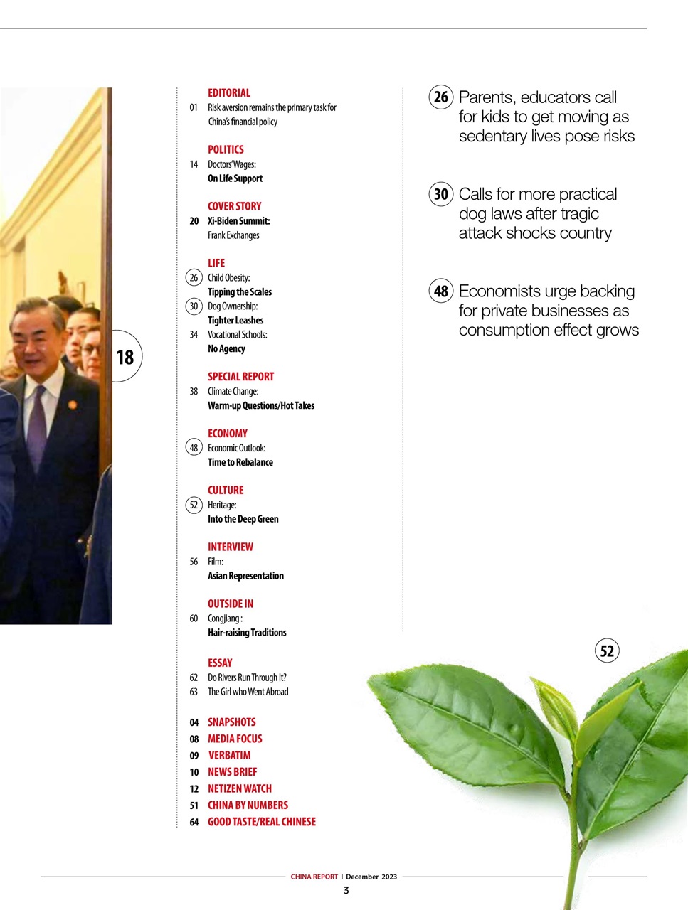 China Report Preview Pages