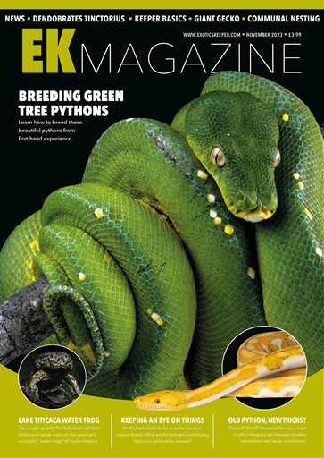 Exotics Keeper issue 