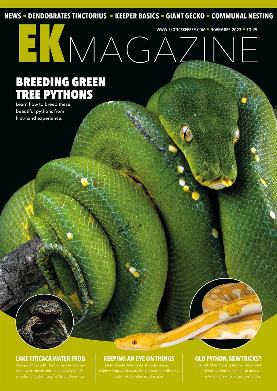 Exotics Keeper Preview Pages