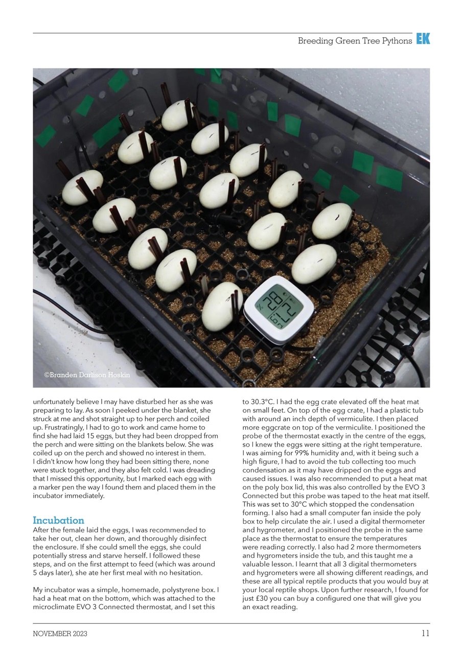 Exotics Keeper Preview Pages