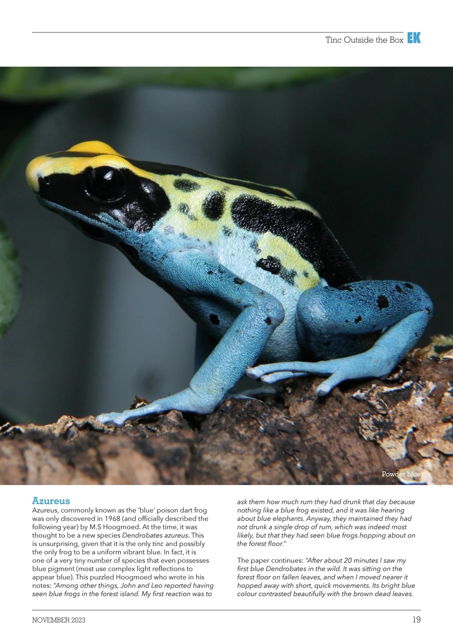 Exotics Keeper Preview Pages