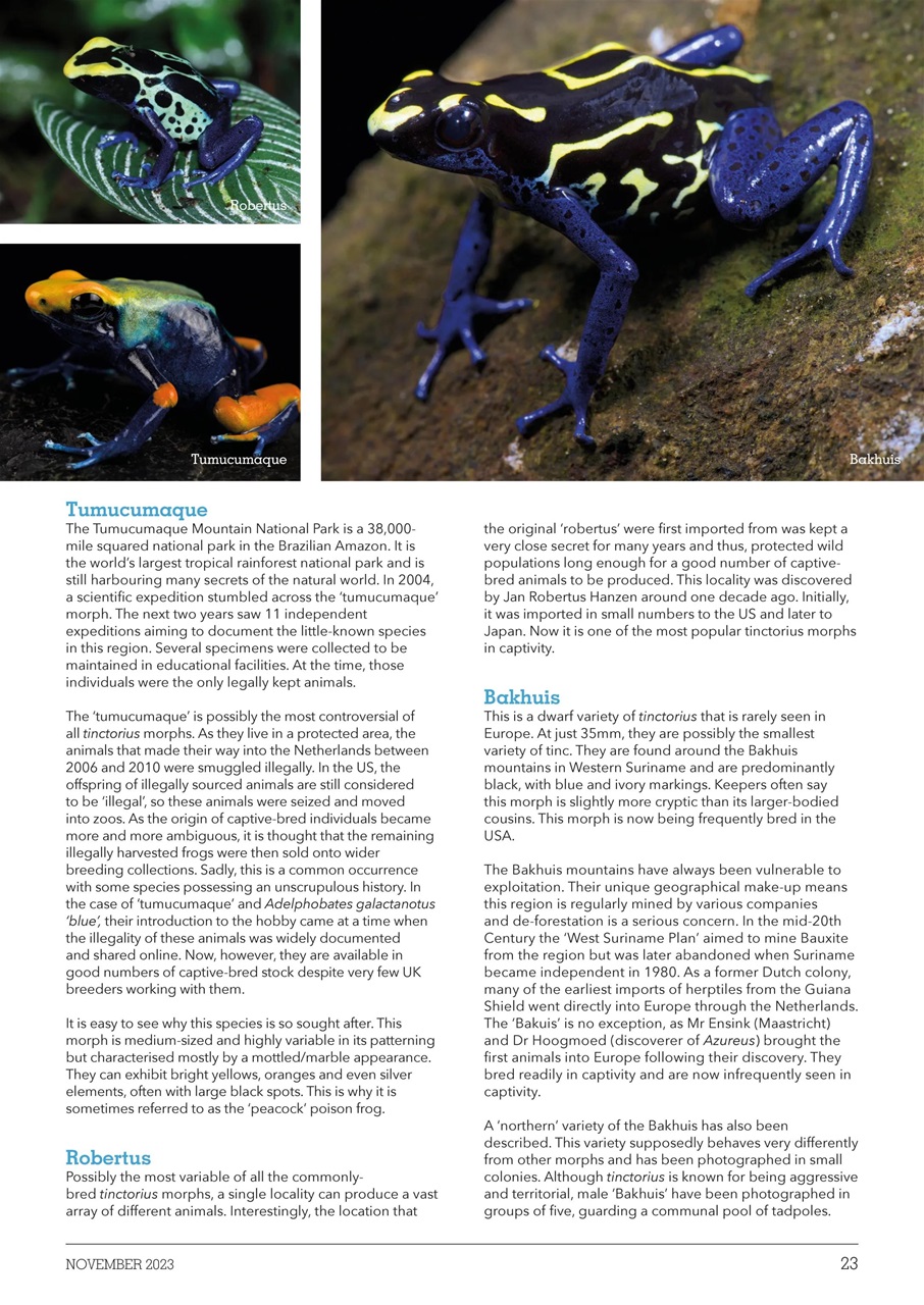 Exotics Keeper Preview Pages