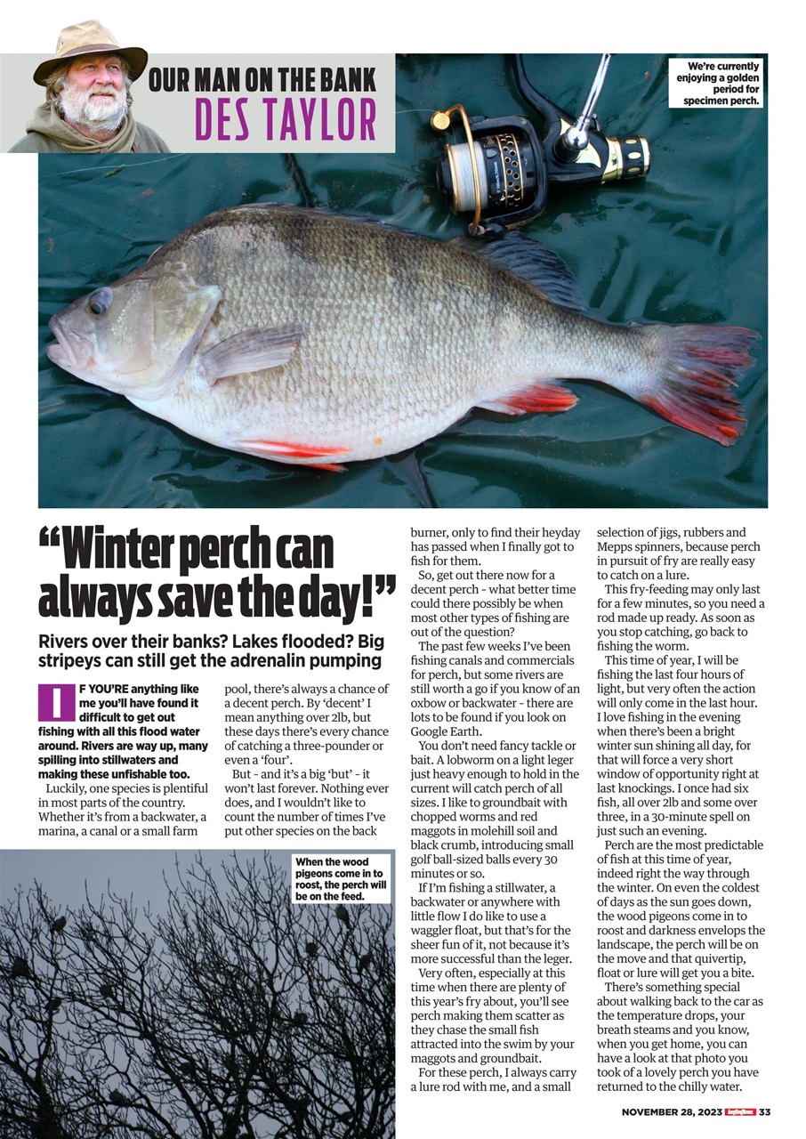 Angling Times Preview Pages