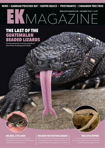Exotics Keeper issue December 2023