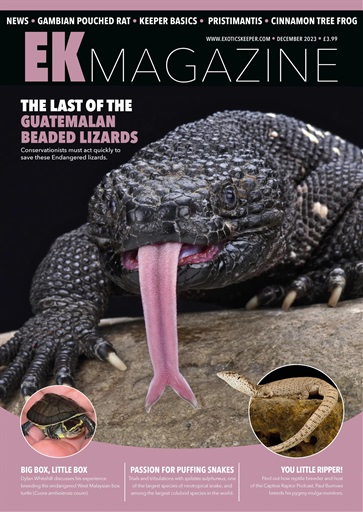 Exotics Keeper issue 