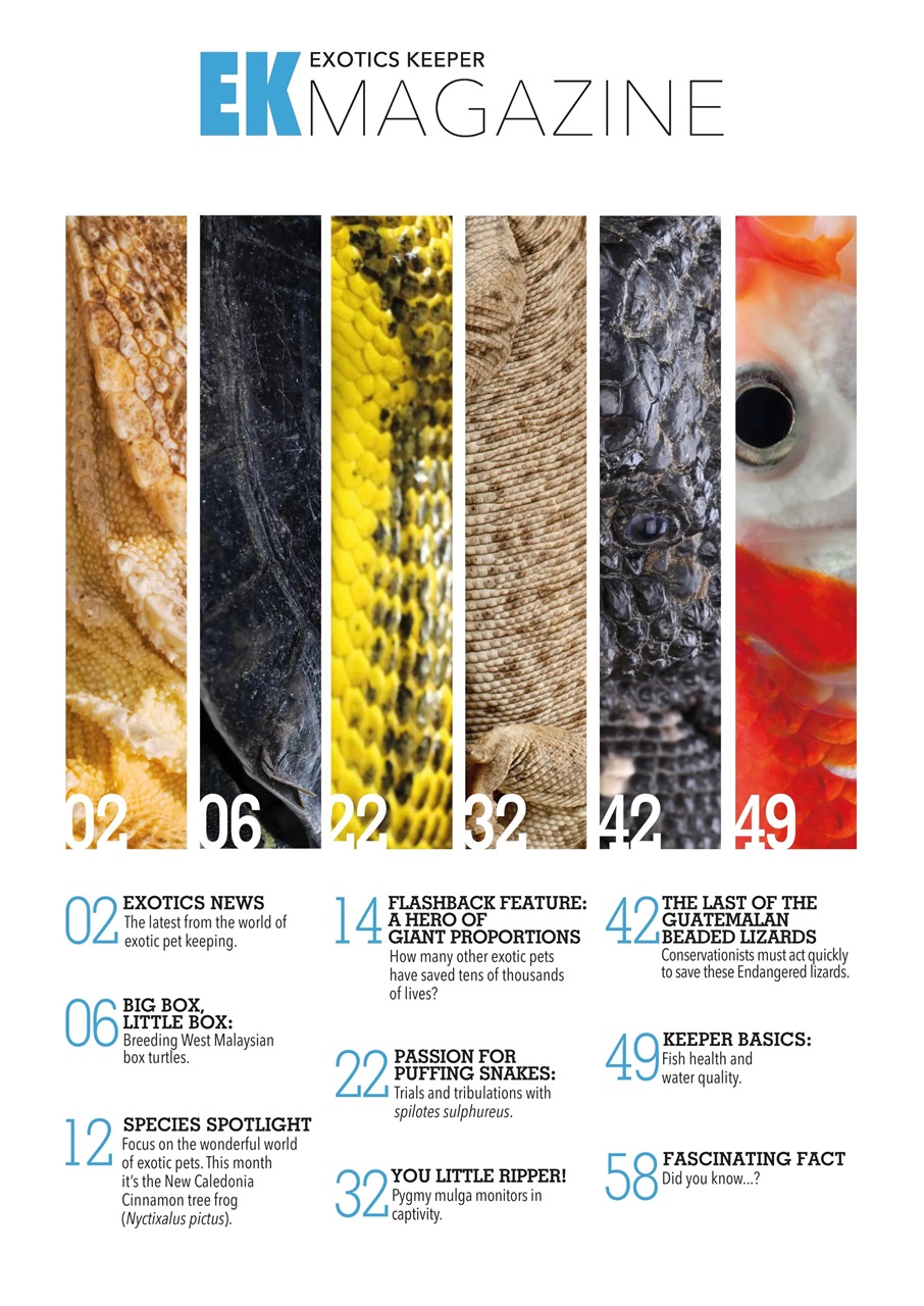 Exotics Keeper Preview Pages