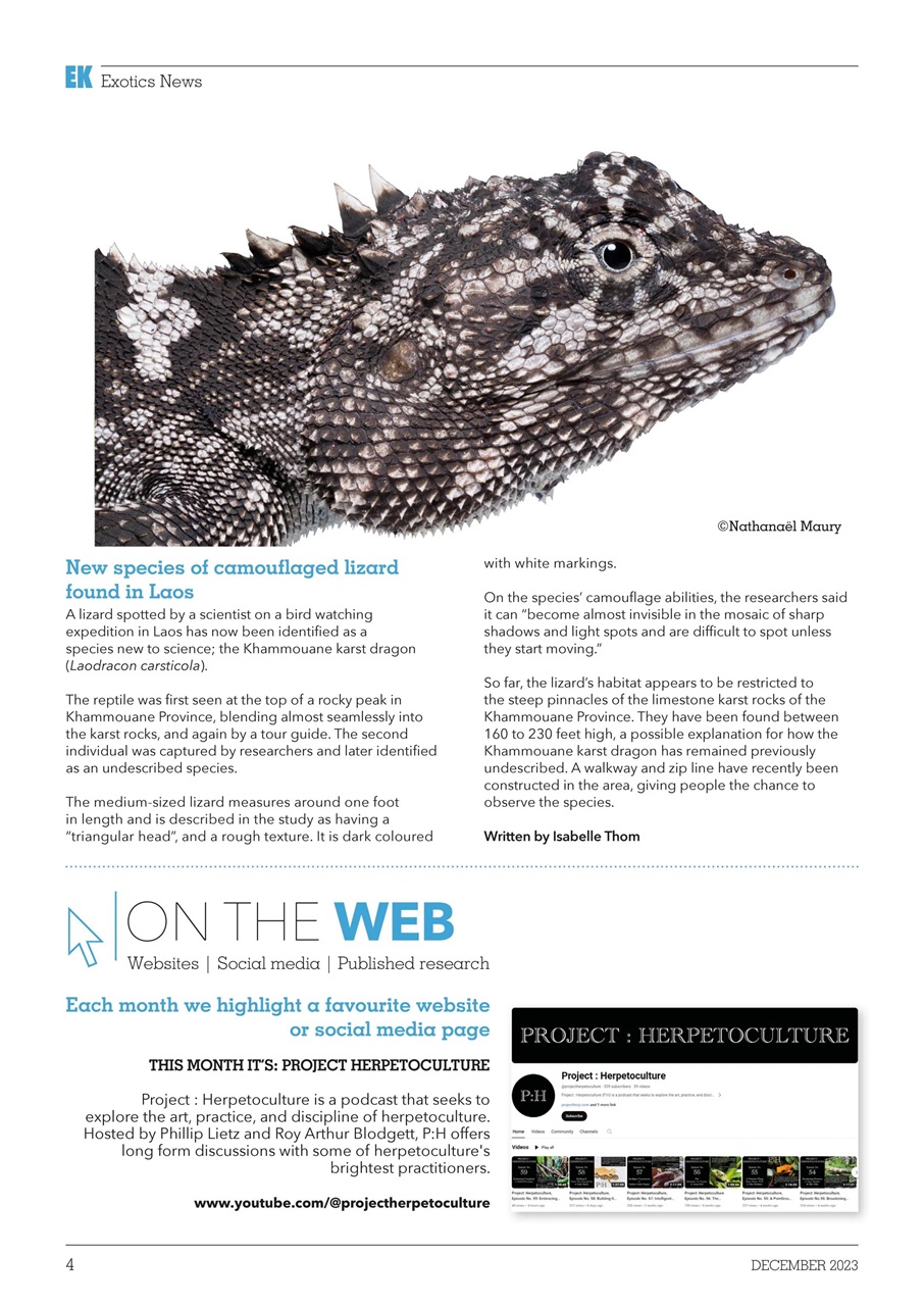 Exotics Keeper Preview Pages