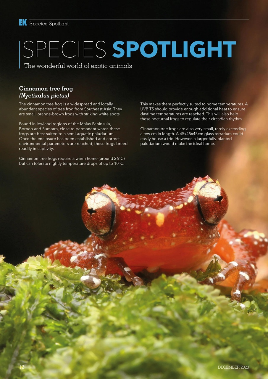 Exotics Keeper Preview Pages