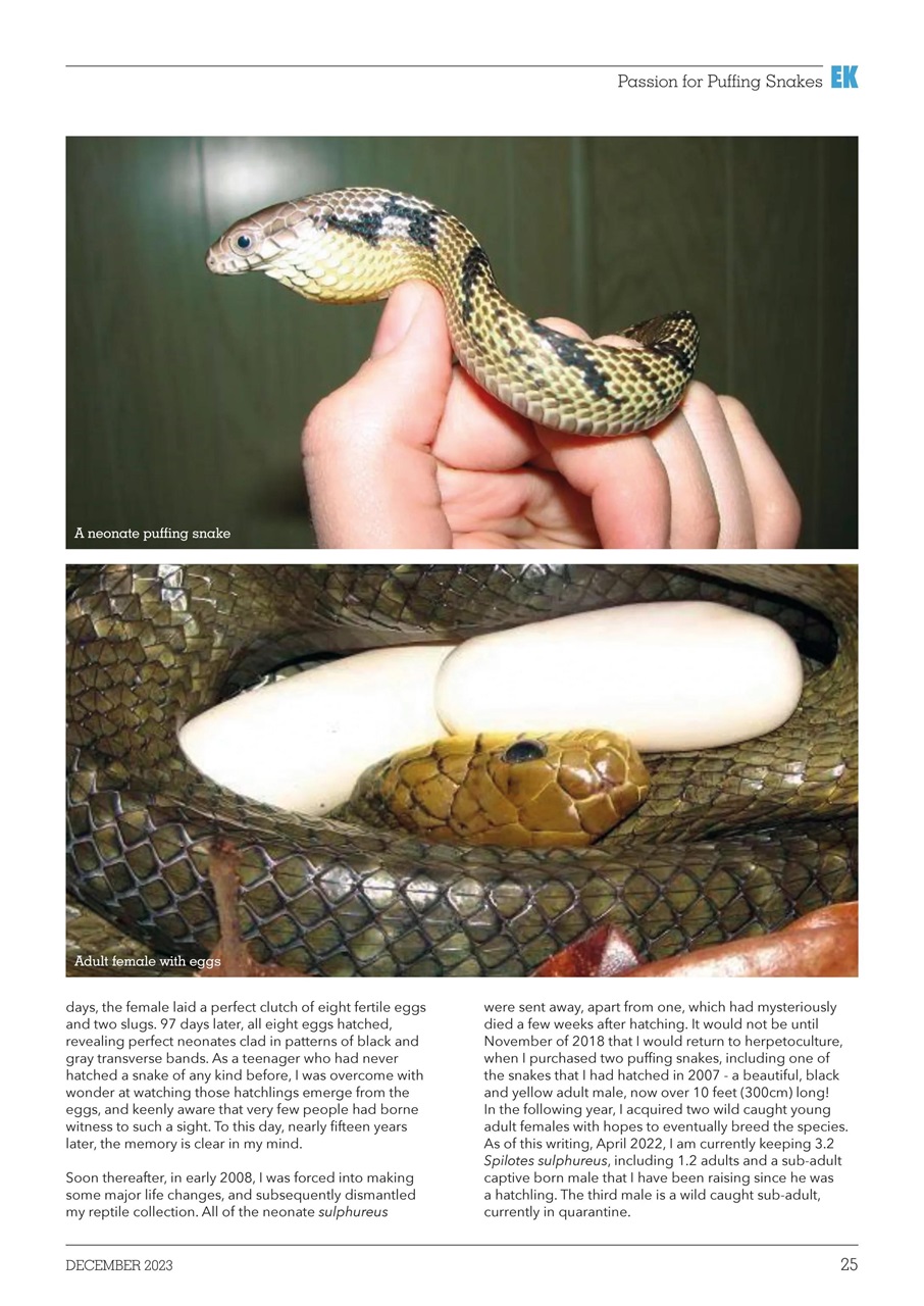 Exotics Keeper Preview Pages