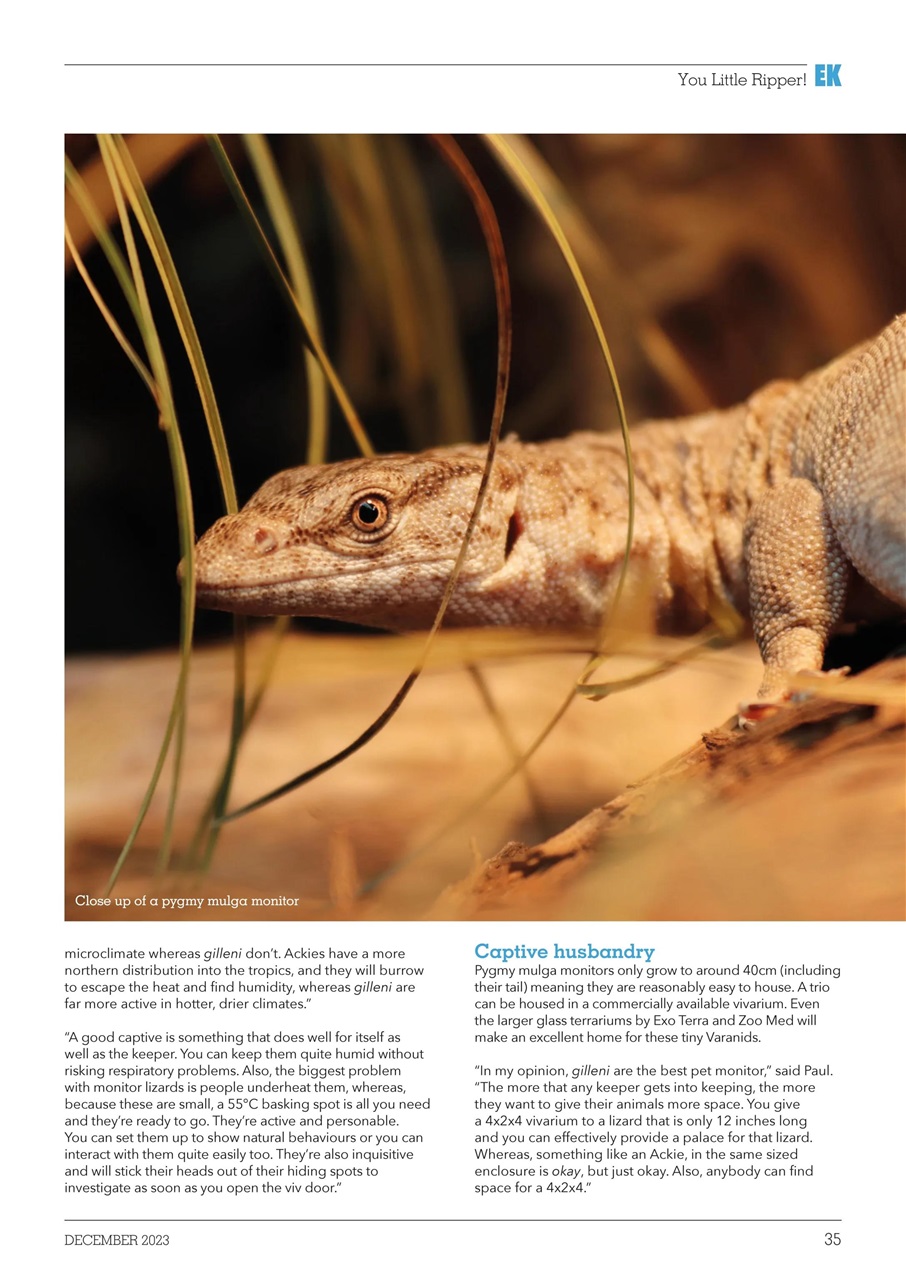 Exotics Keeper Preview Pages