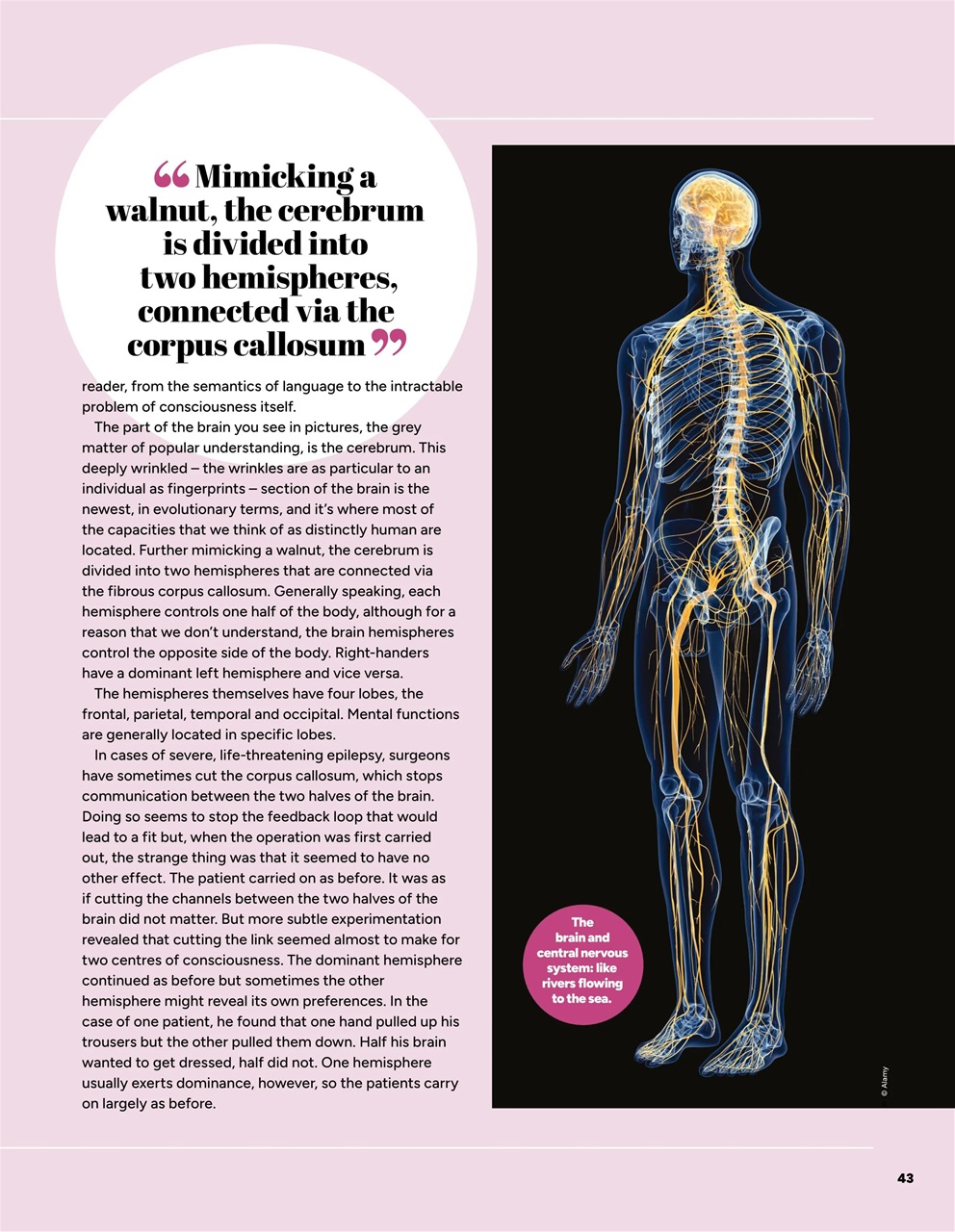 How It Works Bookazine Preview Pages