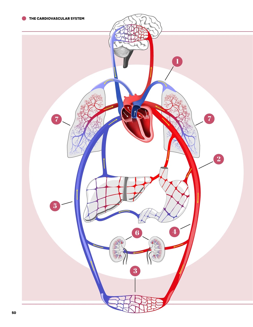 How It Works Bookazine Preview Pages