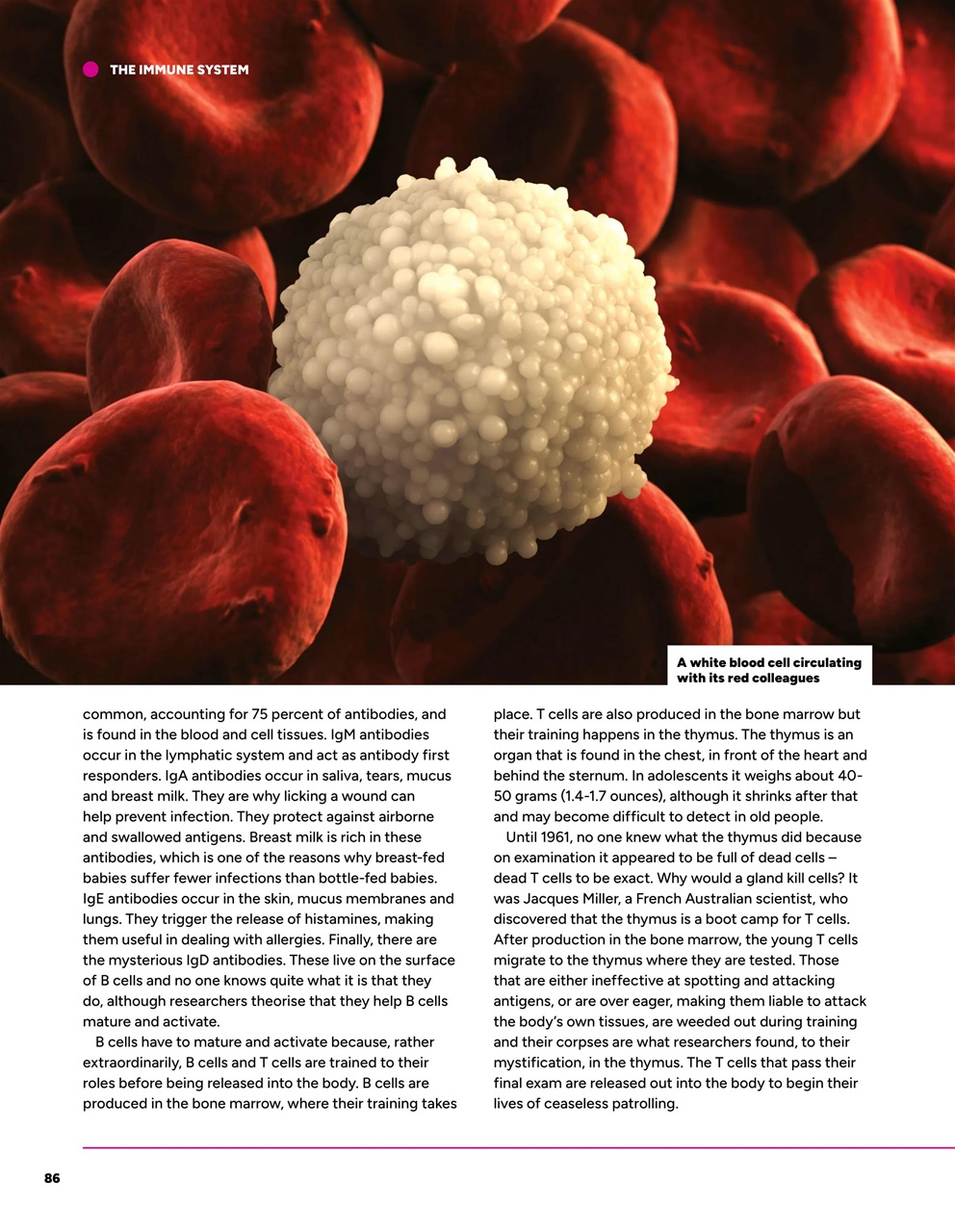 How It Works Bookazine Preview Pages