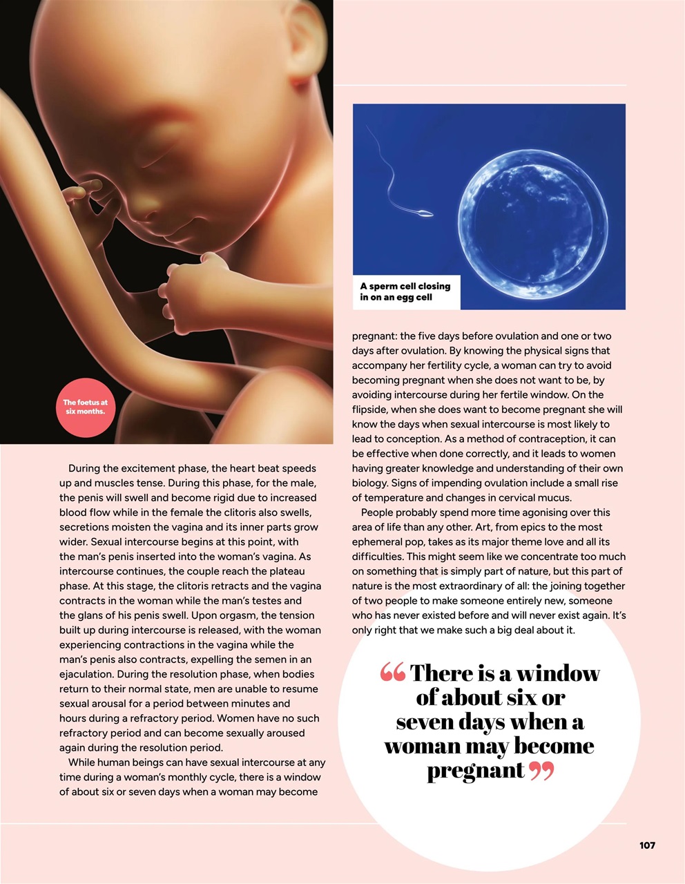 How It Works Bookazine Preview Pages