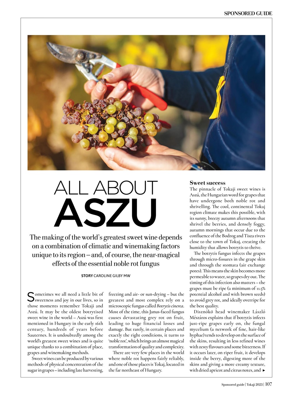 Decanter Preview Pages