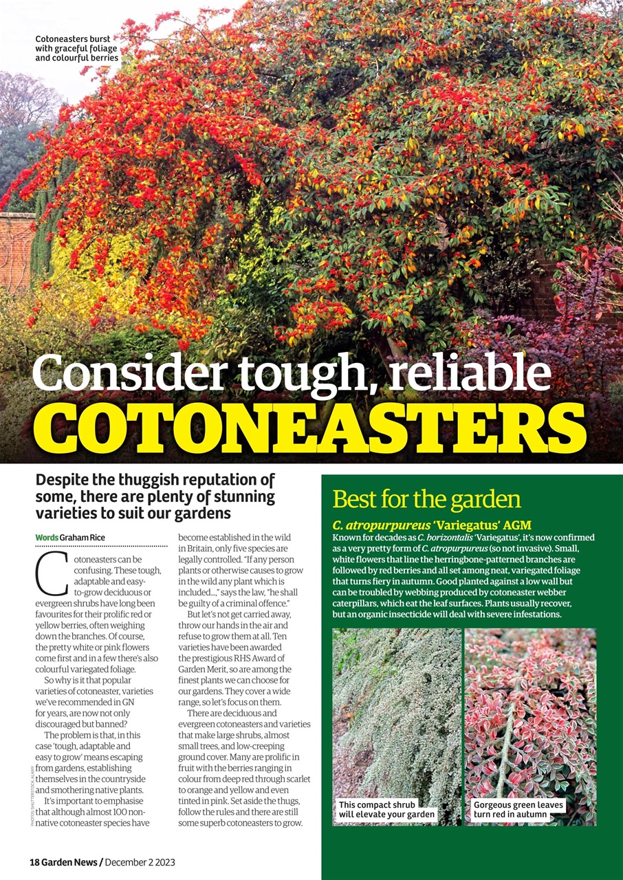 Garden News Preview Pages