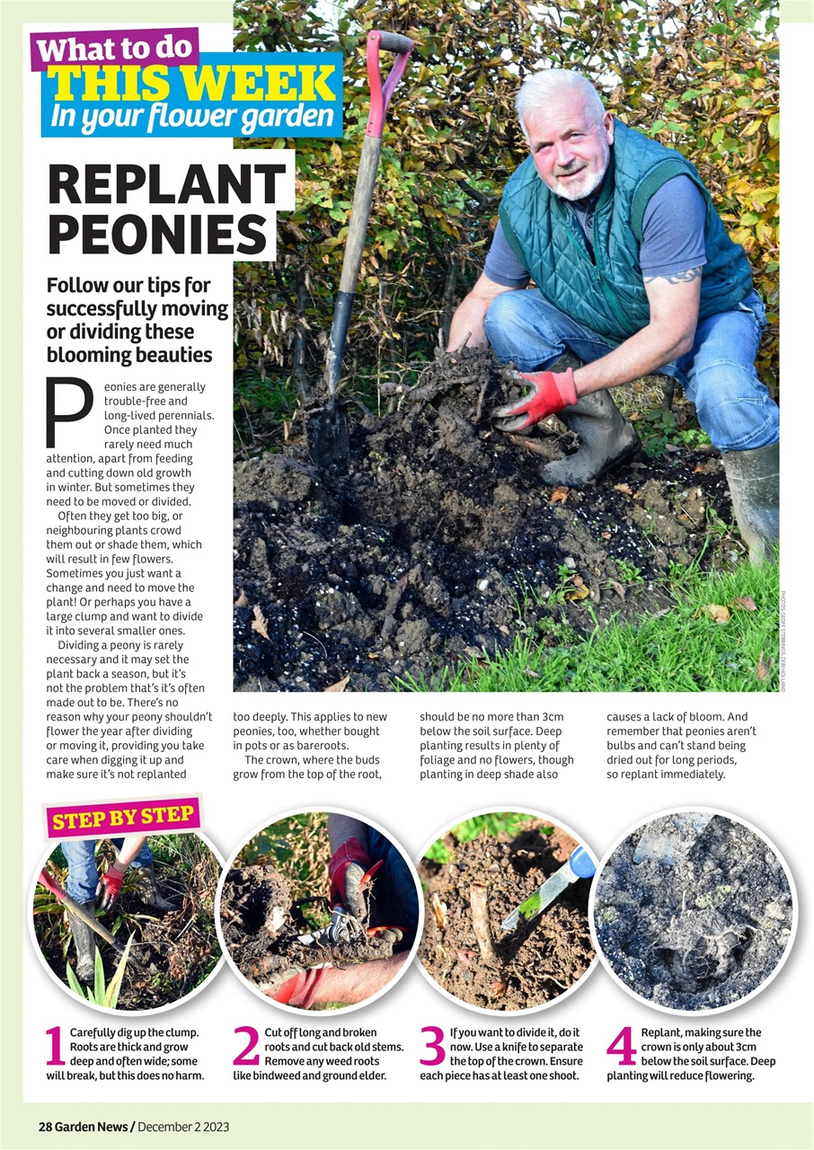 Garden News Preview Pages
