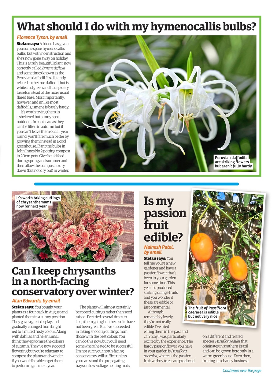 Garden News Preview Pages