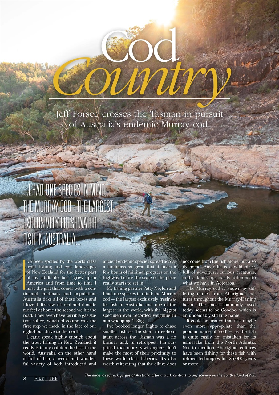 FlyLife Preview Pages