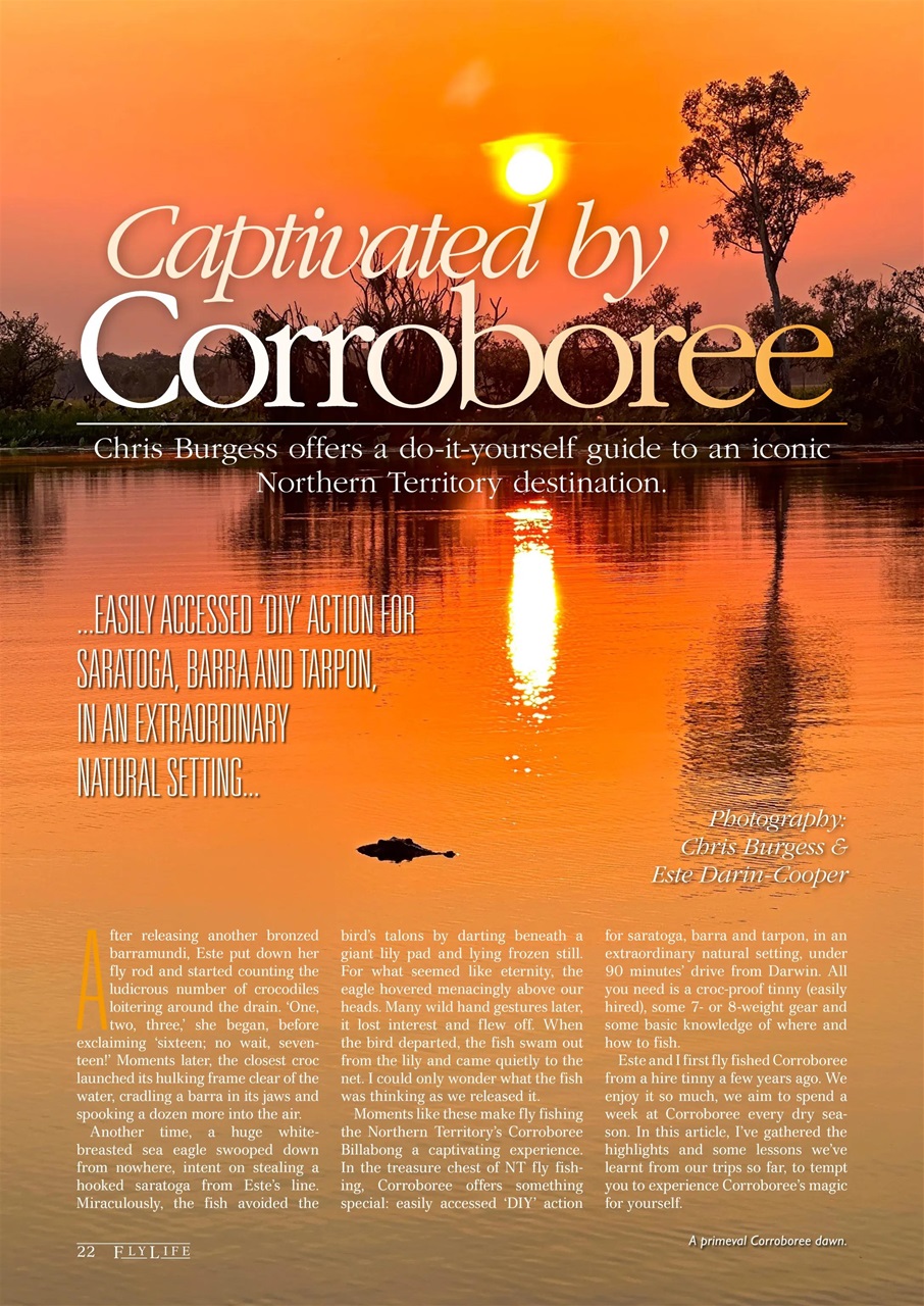 FlyLife Preview Pages