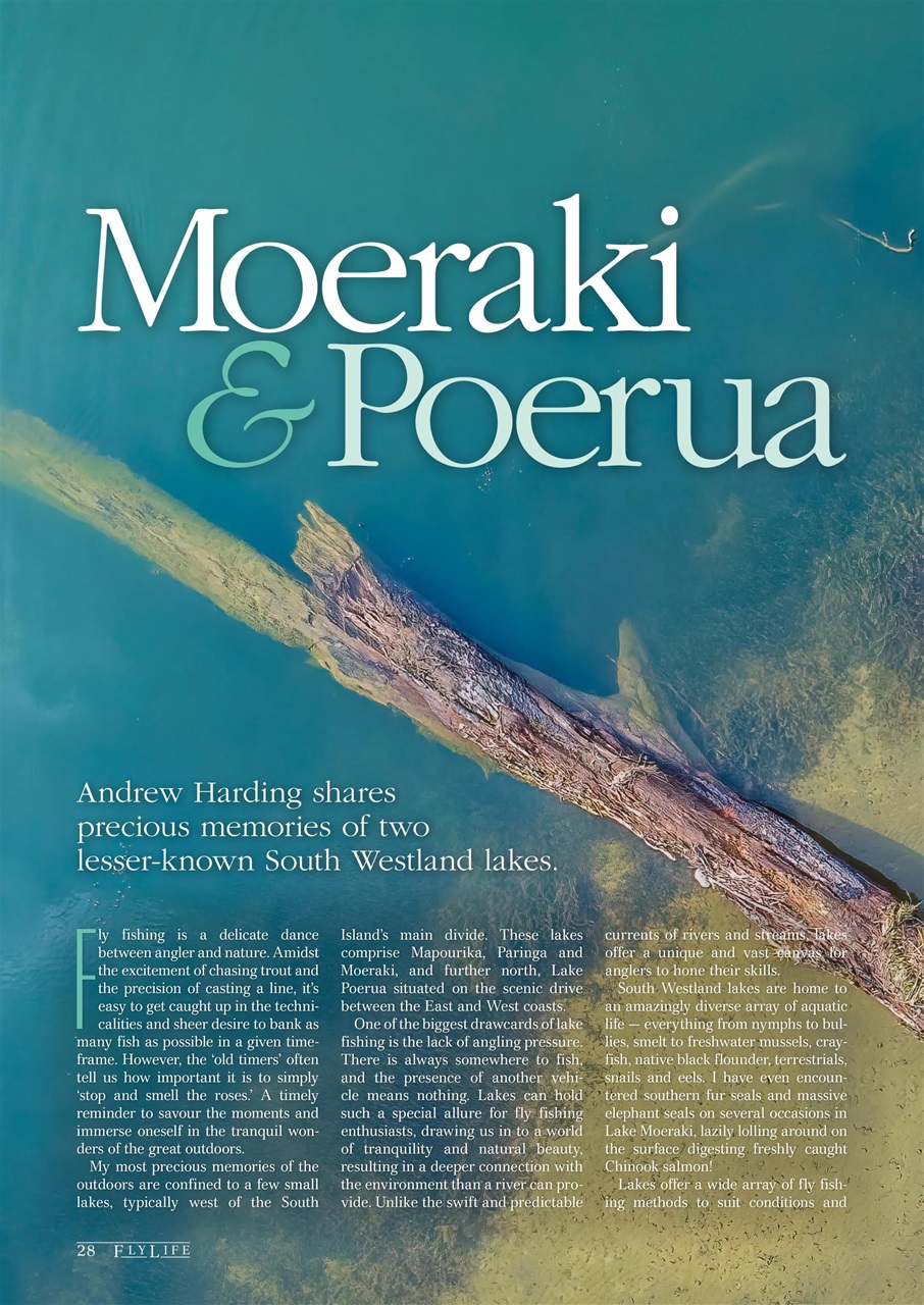 FlyLife Preview Pages