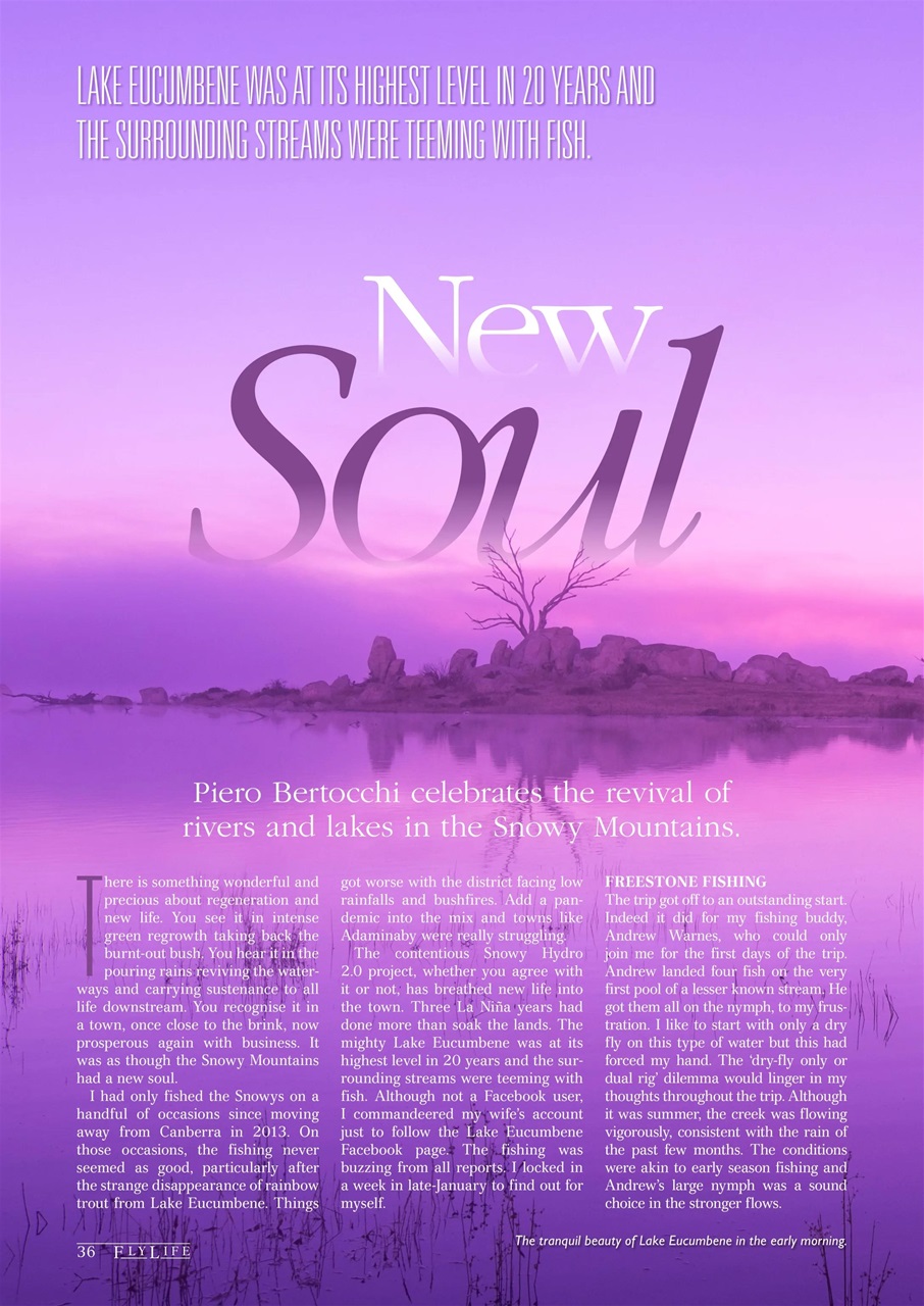 FlyLife Preview Pages