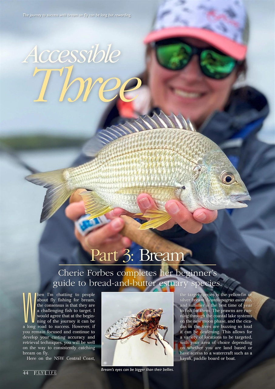 FlyLife Preview Pages