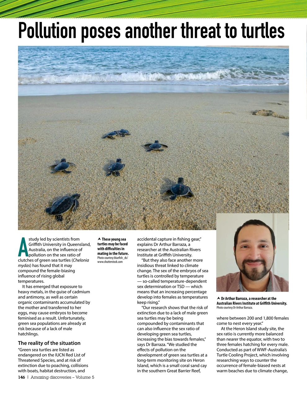 Practical Reptile Keeping Preview Pages