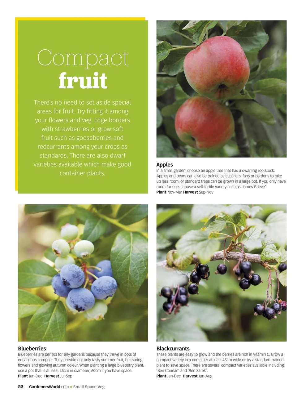 BBC Gardeners’ World Magazine Preview Pages