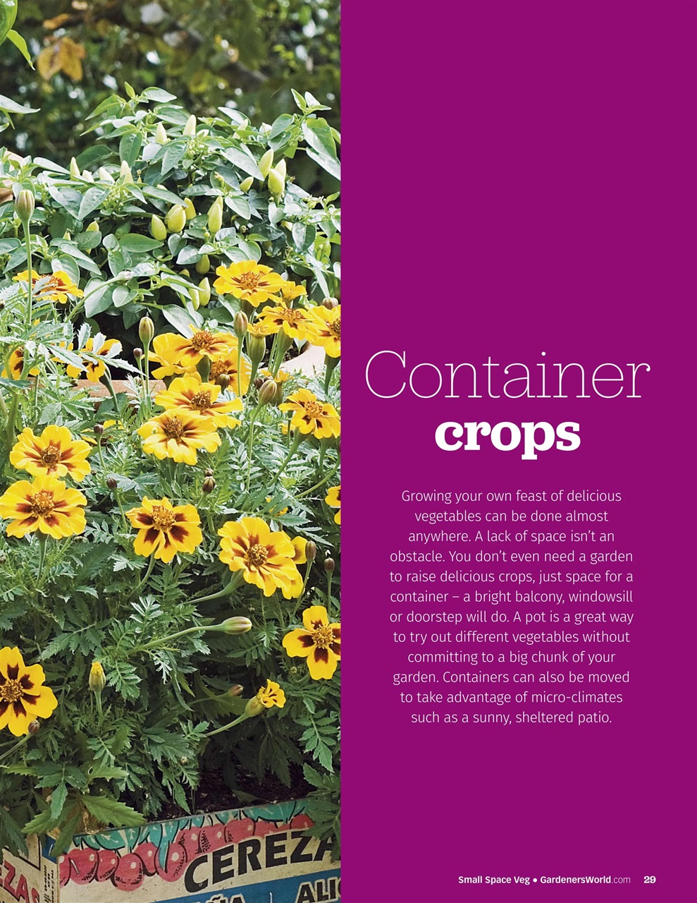 BBC Gardeners’ World Magazine Preview Pages