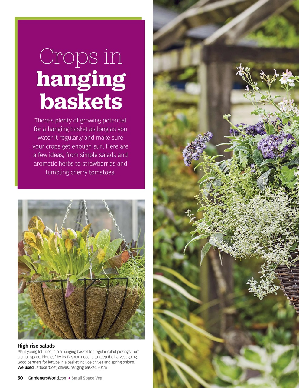 BBC Gardeners’ World Magazine Preview Pages