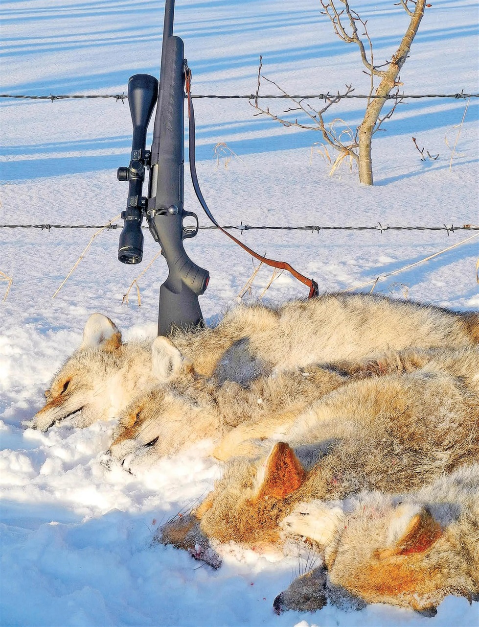 Alberta Outdoors Preview Pages